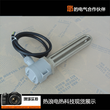 Oil tank antifreeze electric heater